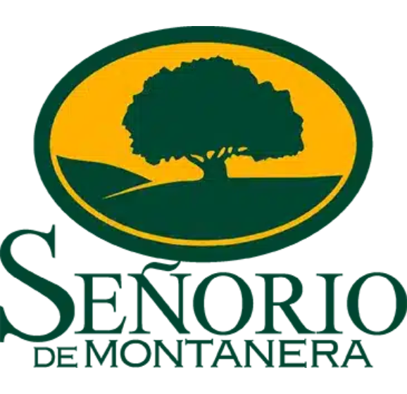 Diseño sin título - 2025-12-23T095735.475