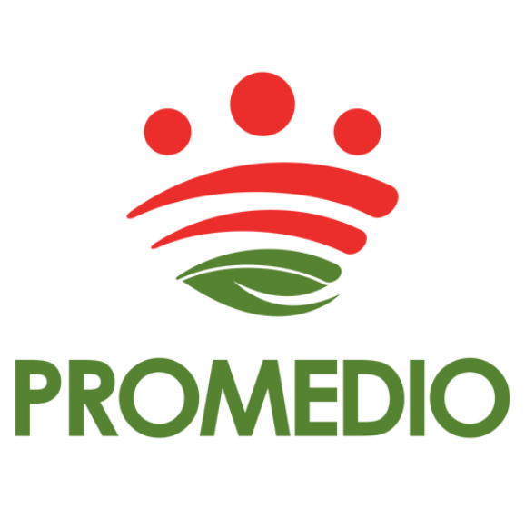 Diseño sin título - 2025-12-23T100007.139